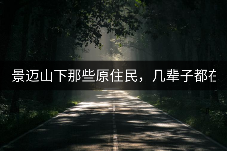 景邁山下那些原住民，幾輩子都在采茶、制茶，才有最...景邁山下那些原住民，幾輩子都在采茶、制茶，才有最好喝的普洱