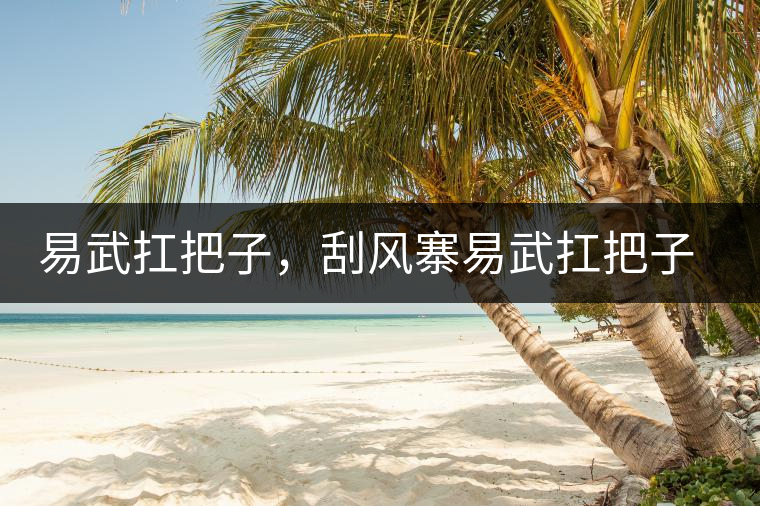 易武扛把子，刮風寨易武扛把子，刮風寨