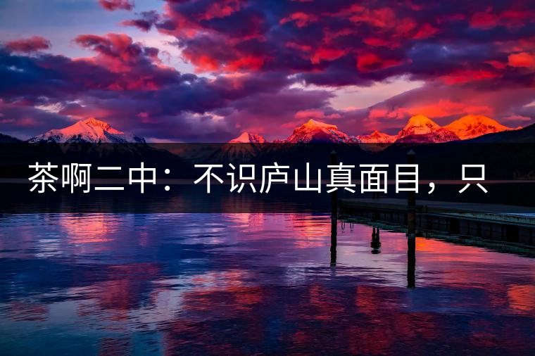 茶啊二中：不識廬山真面目，只識彎弓射大雕，賈淳真搞笑