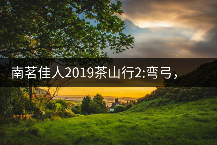 南茗佳人2019茶山行2:彎弓，一路艱辛，只為這有生命...南茗佳人2019茶山行2：彎弓，一路艱辛，只為這有生命厚度的茶！