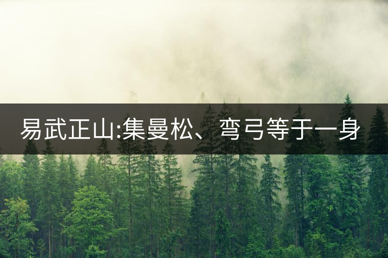 易武正山:集曼松、彎弓等于一身的貴族老黃片，好喝沒得...易武正山：集曼松、彎弓等于一身的貴族老黃片，好喝沒得說