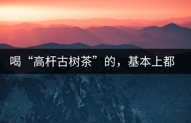 喝“高桿古樹茶”的，基本上都是不懂茶的