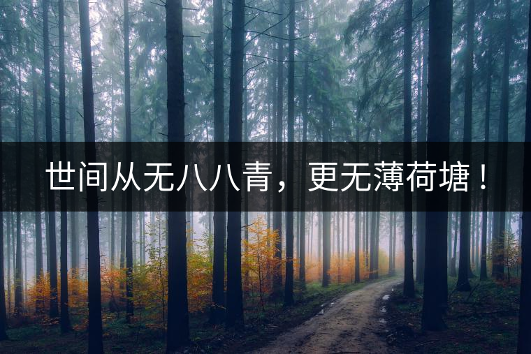 世間從無八八青，更無薄荷塘 !