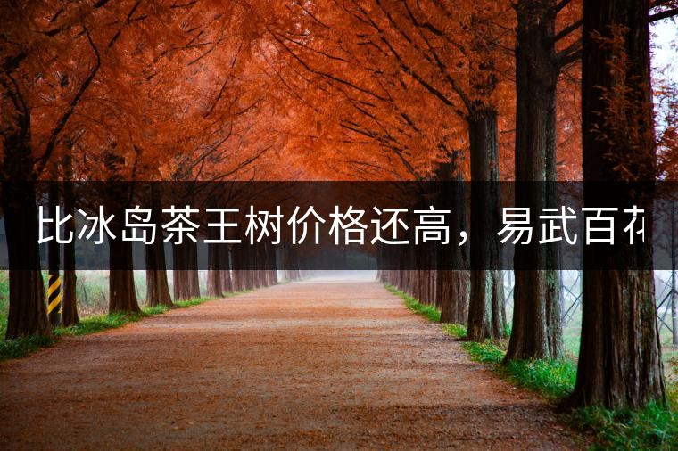 比冰島茶王樹價(jià)格還高，易武百花潭高桿古樹茶以100萬成...比冰島茶王樹價(jià)格還高，易武百花潭高桿古樹茶以100萬成交