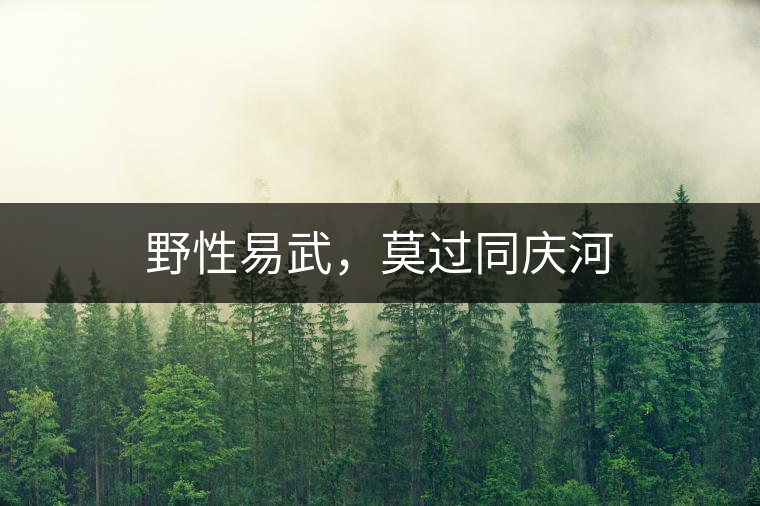 野性易武，莫過同慶河