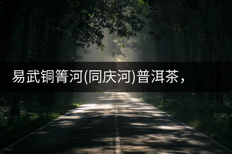 易武銅箐河(同慶河)普洱茶，讓我拜倒的不止它的口感易武銅箐河（同慶河）普洱茶，讓我拜倒的不止它的口感