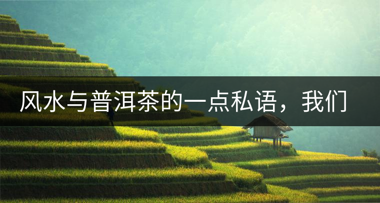 風(fēng)水與普洱茶的一點(diǎn)私語，我們形而上的聊一把