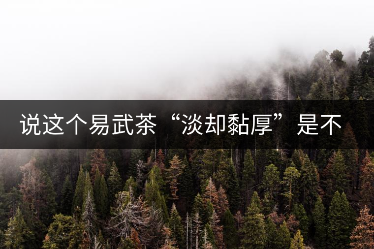 說這個(gè)易武茶“淡卻黏厚”是不是說胡話？