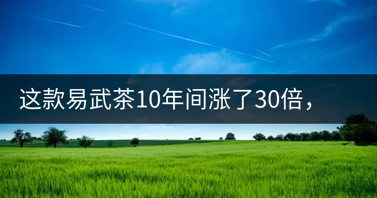這款易武茶10年間漲了30倍，但已芳蹤罕見