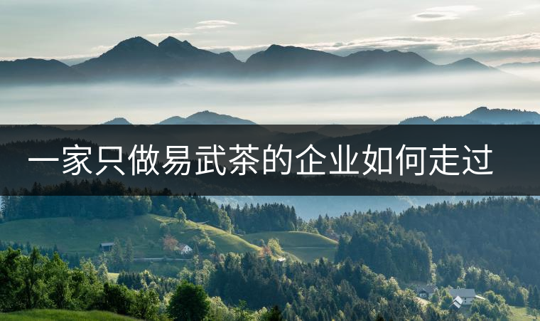 一家只做易武茶的企業(yè)如何走過了十年？
