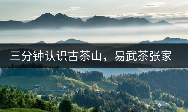 三分鐘認識古茶山，易武茶張家灣寨普洱茶口感特點