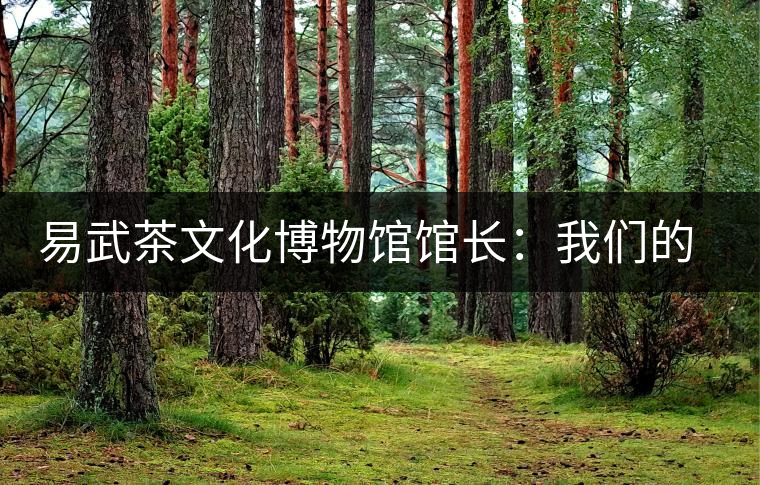 易武茶文化博物館館長:我們的茶祖是孔明 易武茶文化博物館館長:我們的茶祖是孔明