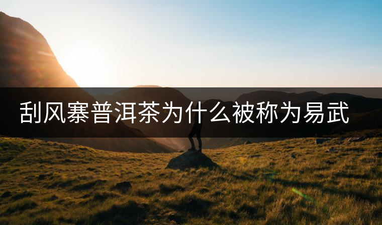 刮風(fēng)寨普洱茶為什么被稱(chēng)為易武茶王？