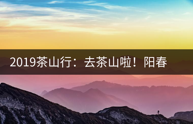 2019茶山行：去茶山啦！陽春三月，和南茗佳人一起上山喝好茶！