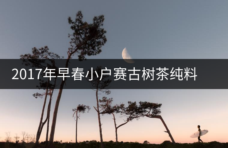 2017年早春小戶賽古樹(shù)茶純料私人高端定制