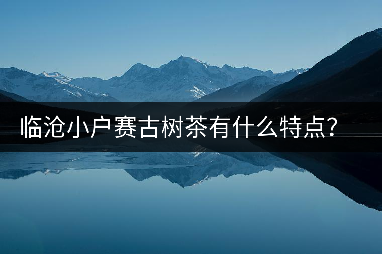 臨滄小戶賽古樹茶有什么特點？因何被稱為“賽冰島”？