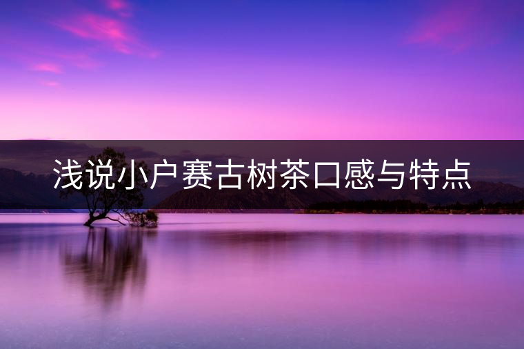 淺說小戶賽古樹茶口感與特點(diǎn)