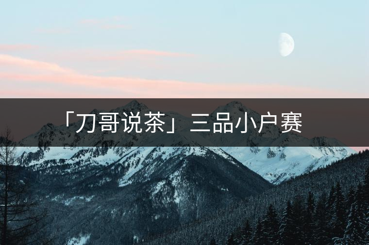 「刀哥說茶」三品小戶賽