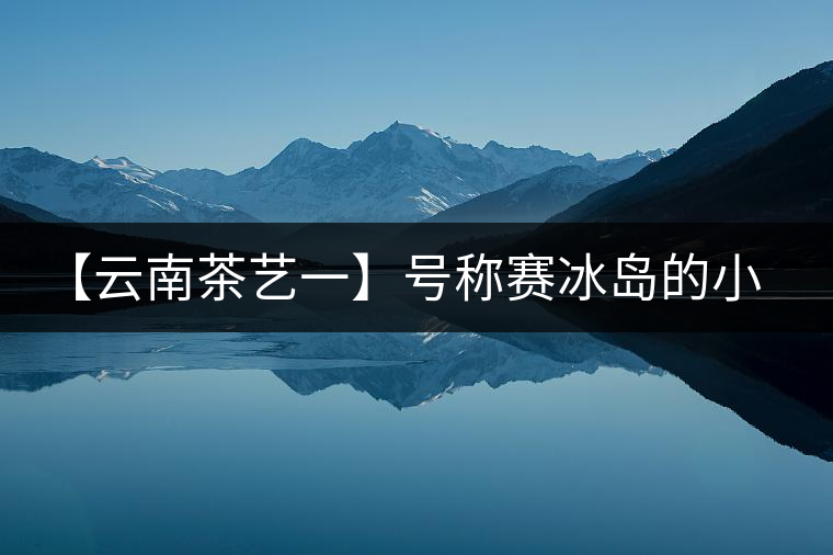 【云南茶藝一】號(hào)稱賽冰島的小戶賽憑什么！今天帶大家一起研究下