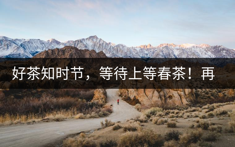 好茶知時節(jié)，等待上等春茶！再來回味這些年喝過的小戶賽古樹春茶