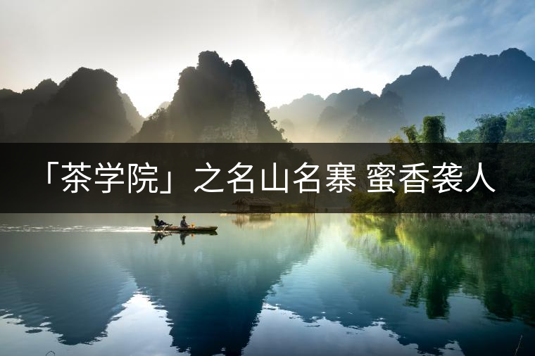 「茶學(xué)院」之名山名寨 蜜香襲人 柔順細(xì)滑——小戶賽