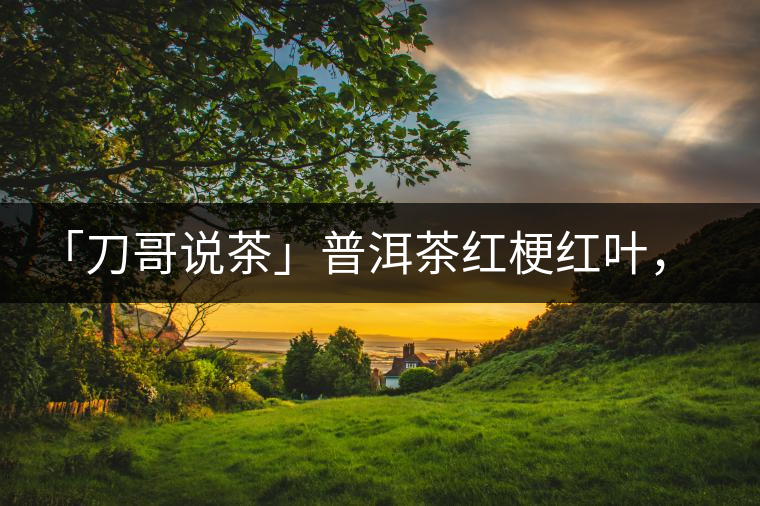 「刀哥說(shuō)茶」普洱茶紅梗紅葉，這鍋誰(shuí)來(lái)背？