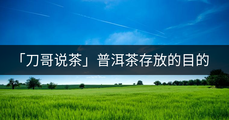 「刀哥說茶」普洱茶存放的目的，是為了轉(zhuǎn)化它的苦澀生青