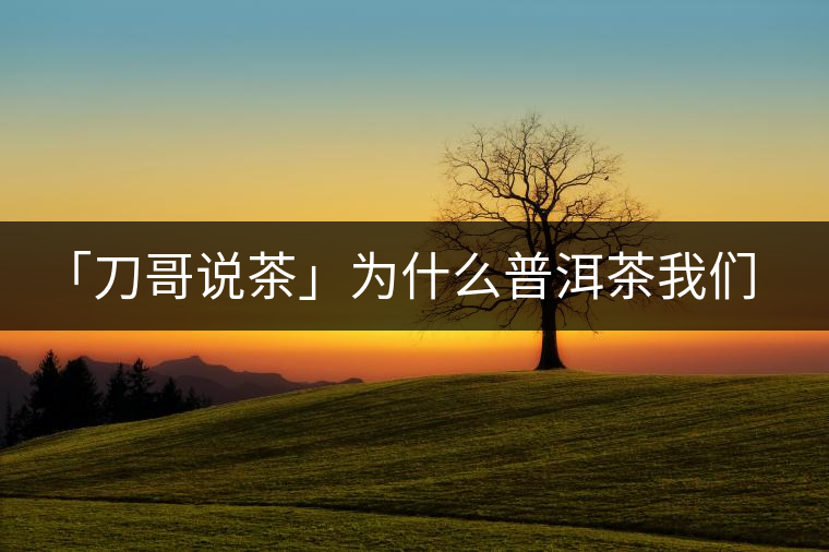 「刀哥說茶」為什么普洱茶我們情愿選三無？