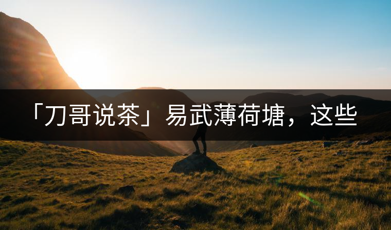 「刀哥說茶」易武薄荷塘，這些冷知識你該知道
