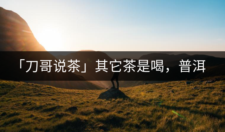 「刀哥說(shuō)茶」其它茶是喝，普洱茶要品
