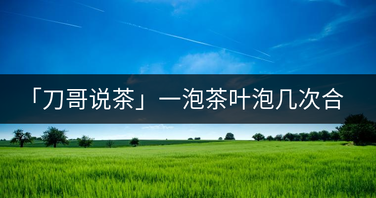 「刀哥說茶」一泡茶葉泡幾次合適?「刀哥說茶」一泡茶葉泡幾次合適？