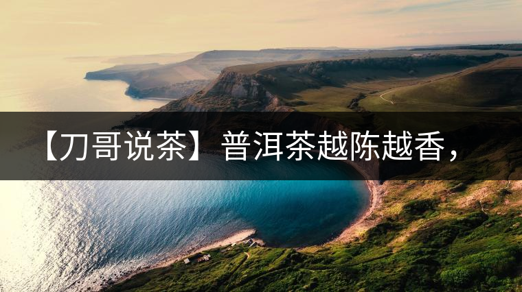 【刀哥說(shuō)茶】普洱茶越陳越香，為什么新茶更受歡迎？