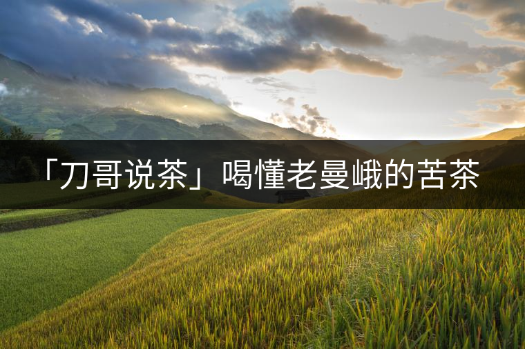 「刀哥說茶」喝懂老曼峨的苦茶和甜茶 「刀哥說茶」喝懂老曼峨的苦茶和甜茶
