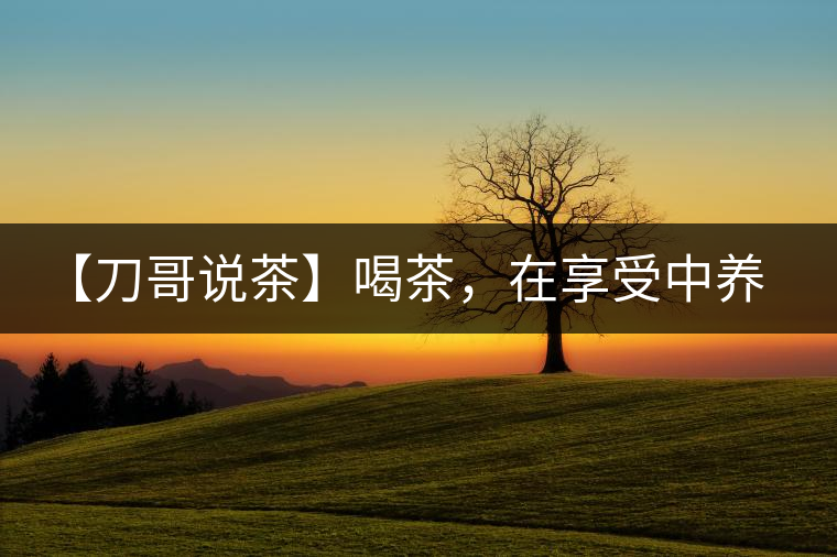 【刀哥說茶】喝茶，在享受中養(yǎng)生的最佳選擇