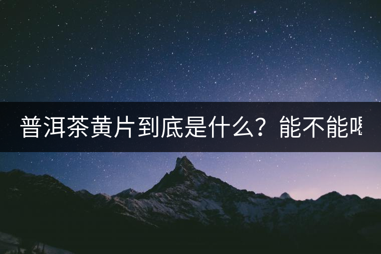 普洱茶黃片到底是什么？能不能喝？
