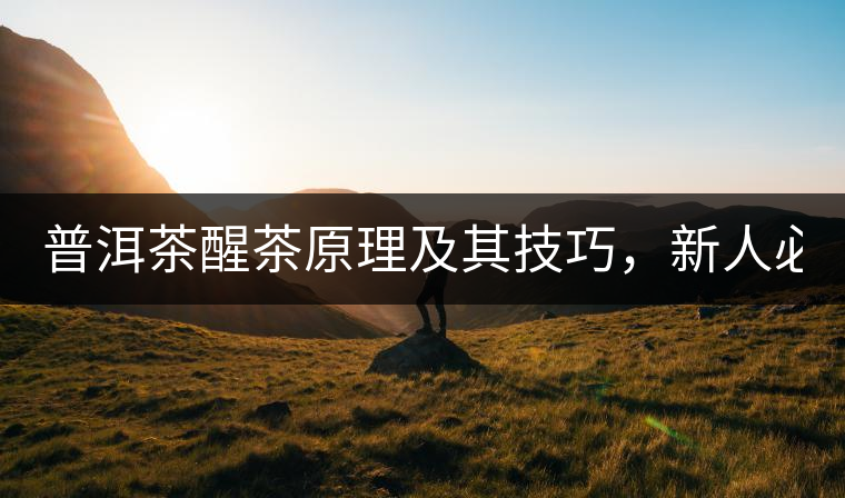普洱茶醒茶原理及其技巧，新人必備！