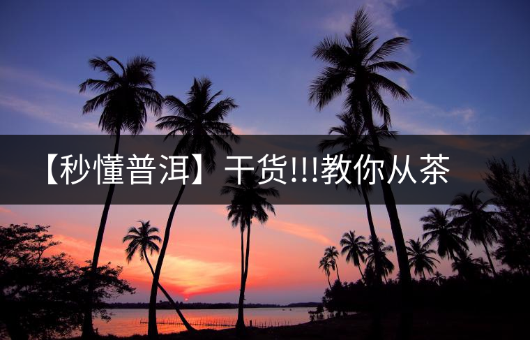 【秒懂普洱】干貨!!!教你從茶底看出茶的好壞 【秒懂普洱】干貨!!!教你從茶底看出茶的好壞