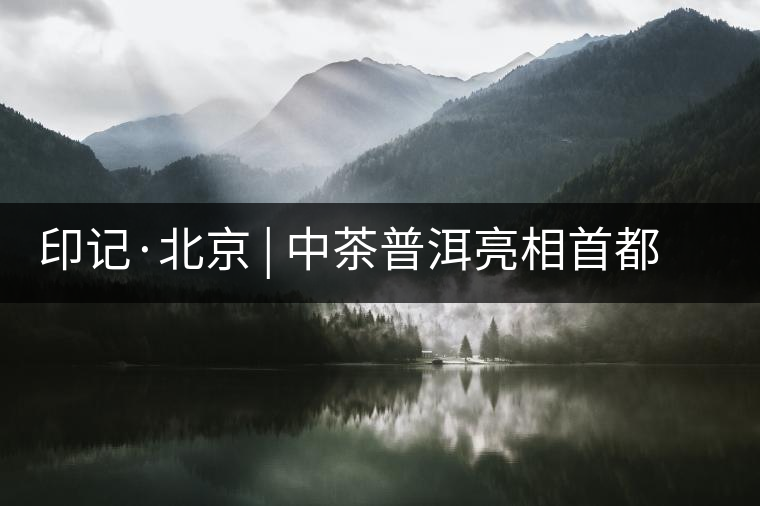 印記·北京 | 中茶普洱亮相首都，“大紅印”斬獲“特別金獎(jiǎng)”