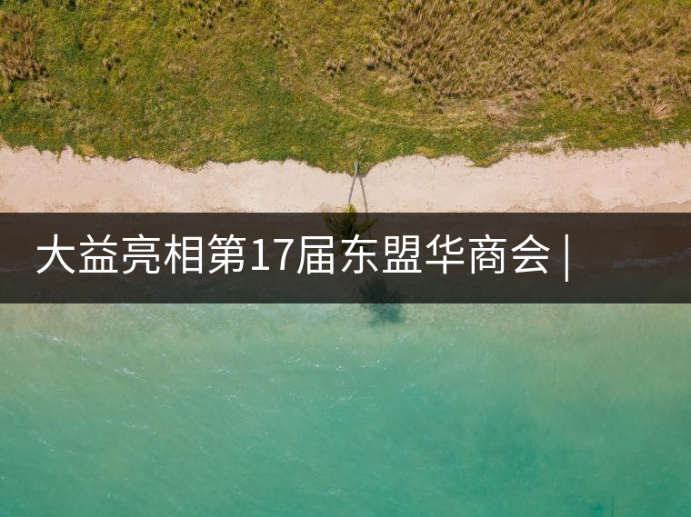 大益亮相第17屆東盟華商會 | 海內(nèi)外嘉賓共謀發(fā)展，共品大益茶