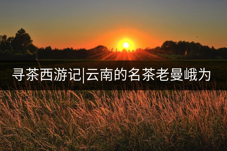 尋茶西游記|云南的名茶老曼峨為什么這么多人愛，這里...尋茶西游記｜云南的名茶老曼峨為什么這么多人愛，這里給你答案！