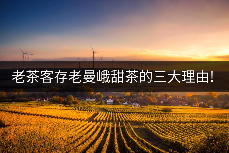 老茶客存老曼峨甜茶的三大理由!老茶客存老曼峨甜茶的三大理由！