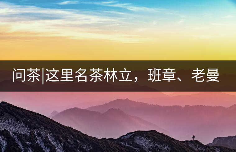 問(wèn)茶|這里名茶林立，班章、老曼峨皆在其列!問(wèn)茶｜這里名茶林立，班章、老曼峨皆在其列！