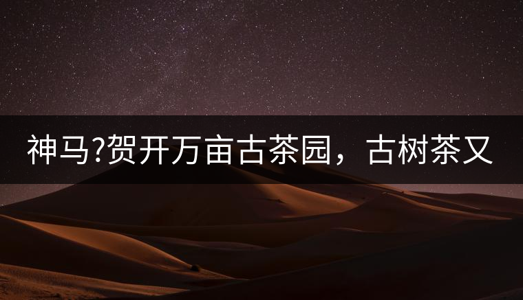 神馬?賀開萬畝古茶園，古樹茶又多又純又便宜!神馬？賀開萬畝古茶園，古樹茶又多又純又便宜！