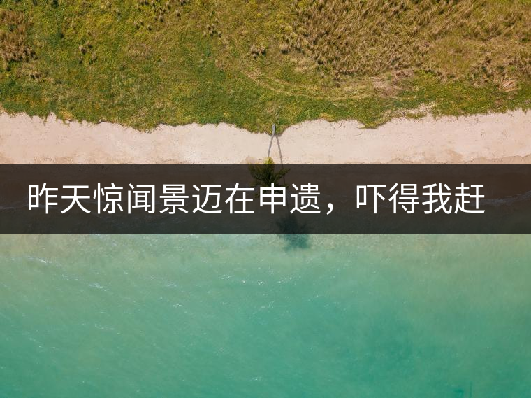 昨天驚聞景邁在申遺，嚇得我趕緊拿出景邁茶……昨天驚聞景邁在申遺，嚇得我趕緊拿出景邁茶……