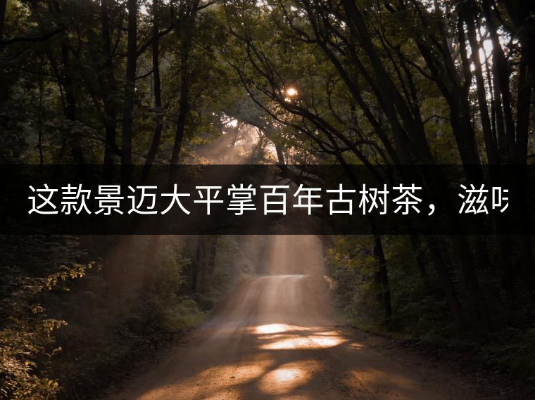 這款景邁大平掌百年古樹茶，滋味令人心生歡喜!這款景邁大平掌百年古樹茶，滋味令人心生歡喜！