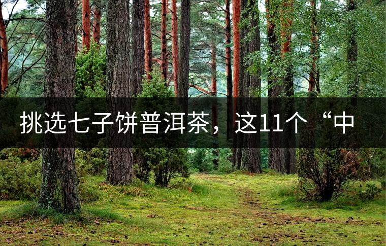 挑選七子餅普洱茶，這11個(gè)“中茶”標(biāo)志千萬(wàn)別弄混!挑選七子餅普洱茶，這11個(gè)“中茶”標(biāo)志千萬(wàn)別弄混！