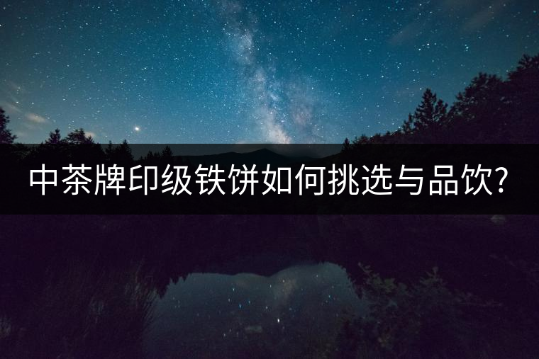 中茶牌印級(jí)鐵餅如何挑選與品飲?一篇文章說(shuō)全!