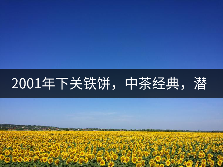 2001年下關(guān)鐵餅，中茶經(jīng)典，潛力可期!