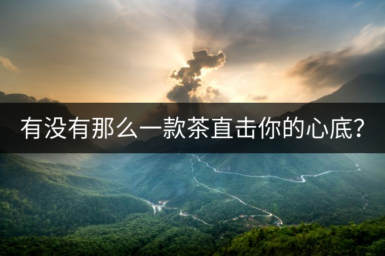 有沒有那么一款茶直擊你的心底？