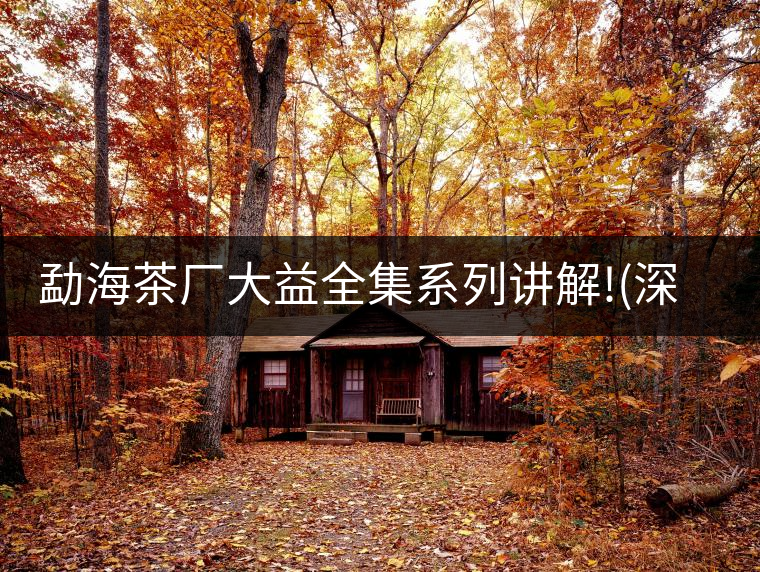 勐海茶廠大益全集系列講解!(深度講解大益茶品，建議收藏...勐海茶廠大益全集系列講解?。ㄉ疃戎v解大益茶品，建議收藏）